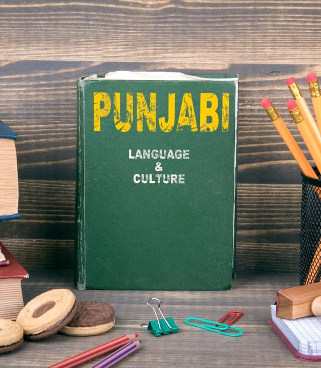 Punjabi & Hindi